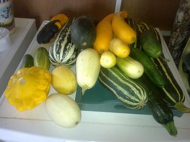 Seasonal vegetables